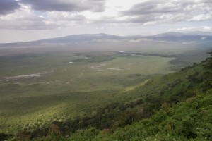 Atunning view of Ngorogoro Crater